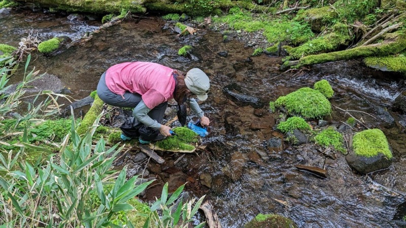 水を飲み尽くしたので、下山中の沢水を浄水して補給。みんな生き返りました。